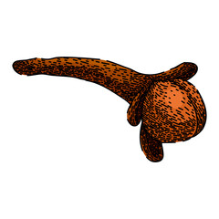 natural clove spice hand drawn. aroma spicy, brown group, herb healthy natural clove spice vector sketch. isolated color illustration