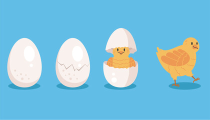 Chicken bird life process stage circle concept. Vector graphic design illustration
