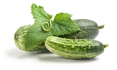 Cucumbers and leaf with spiral tendril isolated on white background