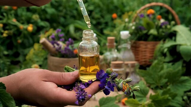 plant and herb tinctures and extracts. Selective focus.