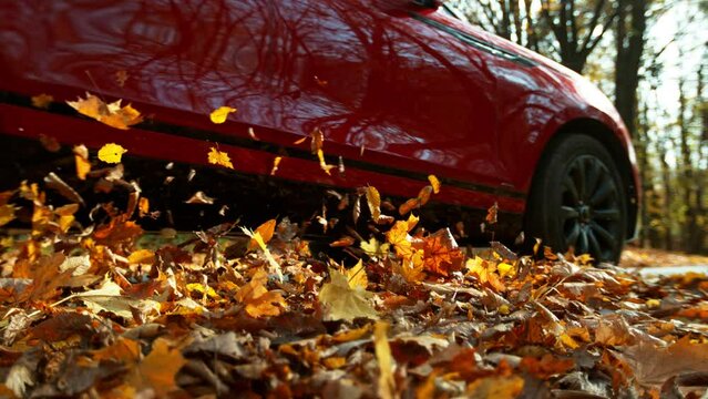 Super Slow Motion of Closeup of Car Running in Autumn Leaves. Filmed on High Speed Cinema Camera, 1000 fps. Cinematic Low Angle Dramatic Shot.