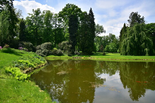 The castle park in Slatiňany contains a large number of different types of trees, making it one of the most diverse parks in Eastern Bohemia.