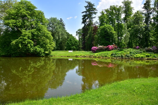 The castle park in Slatiňany contains a large number of different types of trees, making it one of the most diverse parks in Eastern Bohemia.