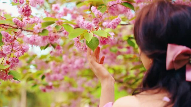 Fantasy girl princess hand touching flowers sakura tree spring green garden sun light. Woman queen back rear view pink dress puffed sleeves open shoulders satin bow in hair vintage old style portrait