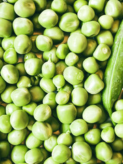 Harvest organic vegetables green peas.