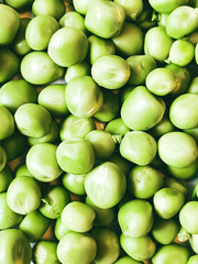 Harvest organic vegetables green peas.