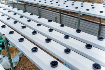 Racks with young microgreens in pots at hydroponics farms.