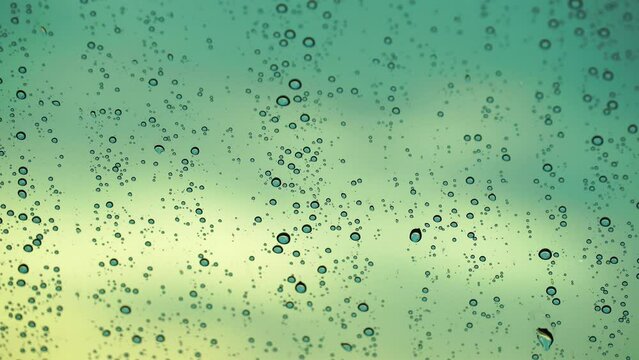 rain drops on window