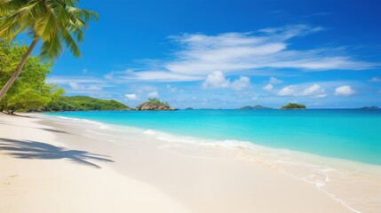 Obraz na płótnie Canvas a sandy beach with palm trees and clear blue ocean water. generative ai
