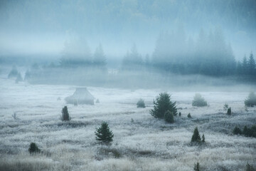 Obraz na płótnie Canvas Foggy morning in Serbia