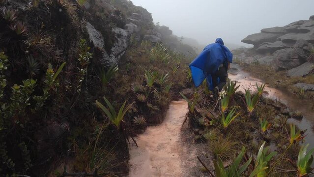 Back view of hiker in blue raincoat traveling on summit of Mount Roraima on cloudy rainy day, Canaima national park, Venezuela