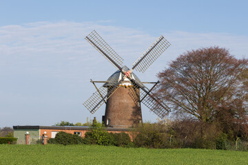 Fototapeta premium Stammen Windmühle in Weeze am Niederrhein