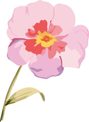 Watercolor  hand drawn flowers  illustration on transparent background Generative AI