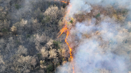 El Nino weather phenomenon cause drought and increase wildfire in southeast asia.