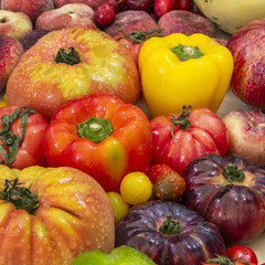 Square image of all kinds of wet tomatoes