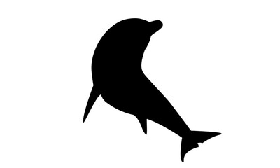 Delfin Silhouette © fotoliaanjak