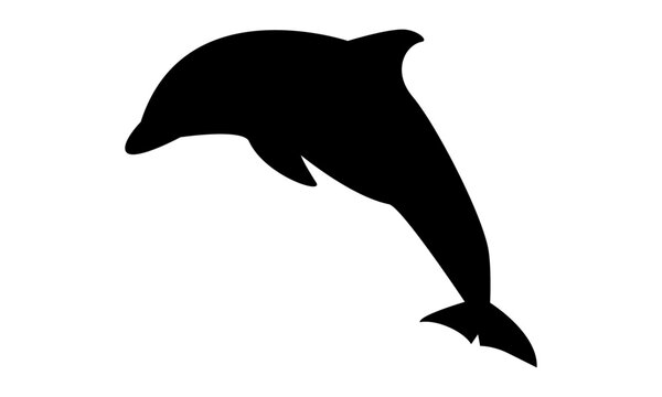 Delfin Silhouette