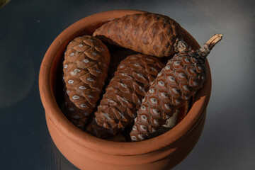 Pile of small wooden pine cones in clay pottery isolated on empty table. Closeup natural unripe pine cones of conifer tree