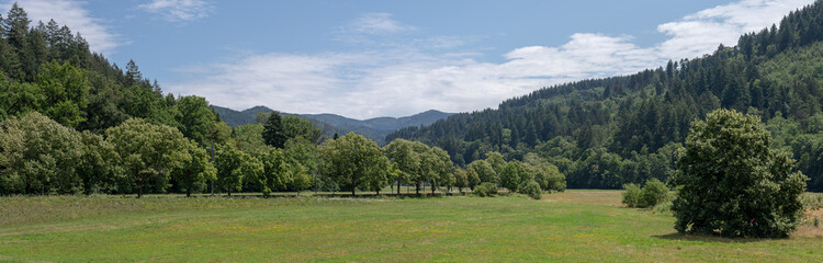 Fototapeta na wymiar Schwarzwaldpanorama