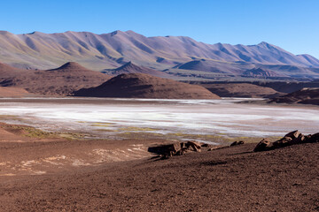 Fototapeta na wymiar Desierto del Diablo: exploring the scenic Devil's desert in the remote Argentinian highlands called Puna while traveling South America 