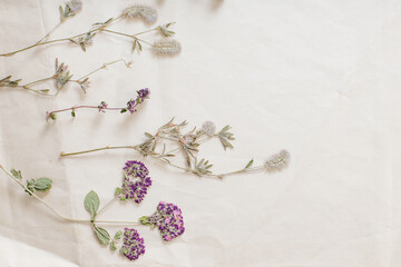 dried flowers on crumpled old paper