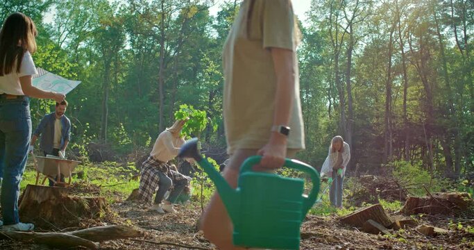 Team of young and diversity volunteer. Social work outdoor in tree forest planting. Multicultural worker group enjoy charitable social work outdoor in cleaning up project in countryside area.