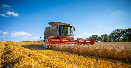 Agriculteur moissonnant le blé dans ses champs en été.
