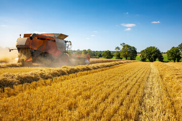 Fototapeta premium Moisson du blé dans un paysage de campagne en France.