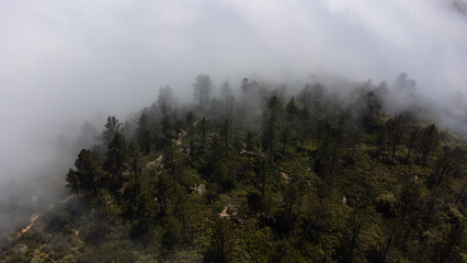 Fog in Santa Ynez Mountains, Los Padres National Forest, Santa Barbara County