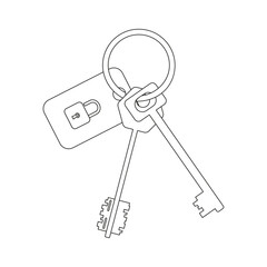 A bunch of two keys with a keychain for mortise and padlocks on a white background.