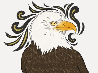 Eagle with some original splash art