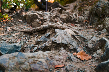 Rocky mountain surface close up