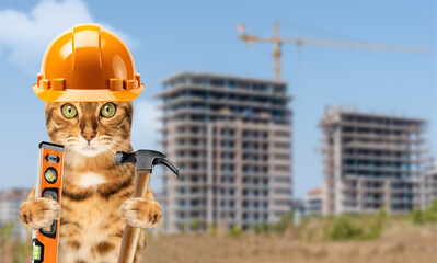 Funny cat in a construction helmet on the background of a construction site.