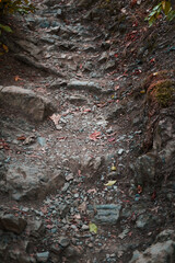 Rocky mountain surface close up