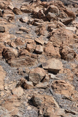 Rocky volcanic soil found at high altitude in Teide National Park, covered in dry pine needles of the tall Pinus Canariensis, resilient trees inhabiting the heights of Tenerife, Canary Islands, Spain