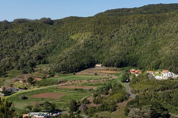 Fototapeta na wymiar Las Mercedes area, Anaga Rural Park, a mountainous region in the northern part of the island featuring ravines, dense forests, and rare and sparsely-populated villages, Tenerife, Canary Islands, Spain