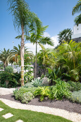 Fototapeta na wymiar Tropical garden corner featuring palm trees and lots of luxuriant plants, with a neat stone path crossing through the well-kept grass, creating a stunning and tranquil lush environment near a property