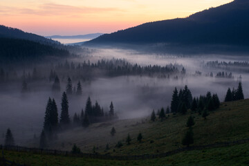 Fototapeta na wymiar Foggy morning in Romania