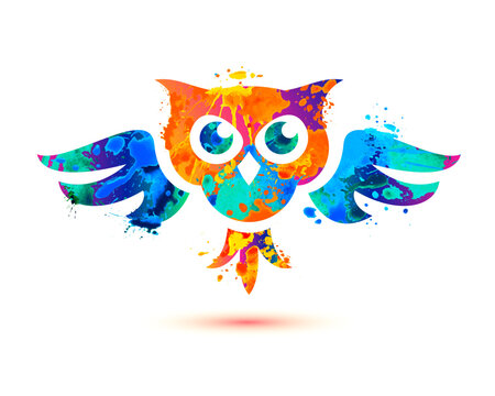 Eagle owl symbol of splash paint