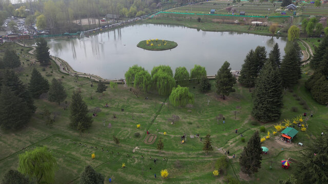 Indira Gandhi Memorial Tulip garden, previously Model Floriculture Center, is a tulip garden in Srinagar, Jammu and Kashmir, India.