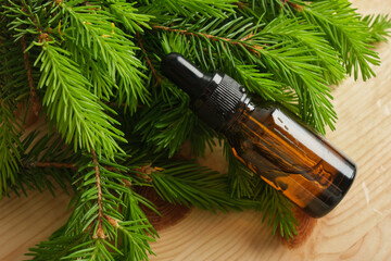 glass amber bottles with pipettes and spruce branches with young needles