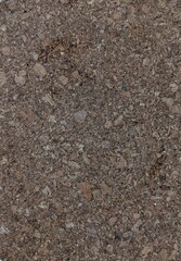 Photo of dark soil texture on the floor