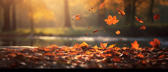 Autum background with autumn leaves falling down - obrazy, fototapety, plakaty