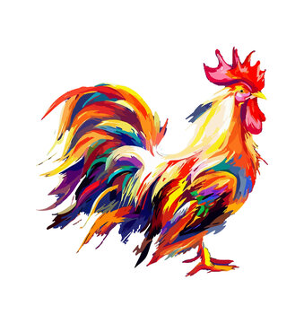 A rooster design with a dynamic brushstrokes