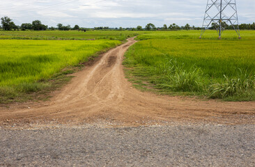 Views of dirt roads with traces of agricultural wheels that extend from.