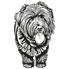 Black Russian Terrier dog t shirt print black and white, cute funny outline drawing vector realistic breed pet