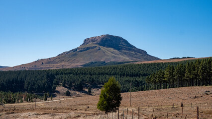Hogsback Mountain Forest, Alice Eastern Cape