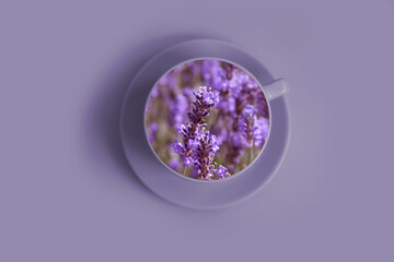 Lavender coffee in a cup