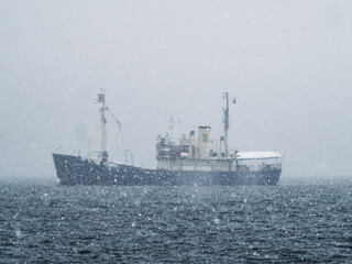 Distant picture of icebreaker ship on arctic ocean during heavy snow falling. Dark blue see, hazy gloomy grey sky, ice breaker ship in distant