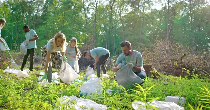 Environmental protection group together while collecting garbage in nature. Group of volunteer environmentalists collects waste in conservation project. Volunteering, charity and ecology concept